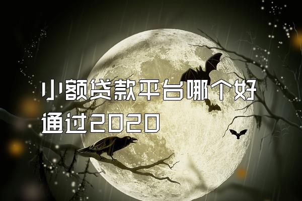 小额贷款平台哪个好通过2020