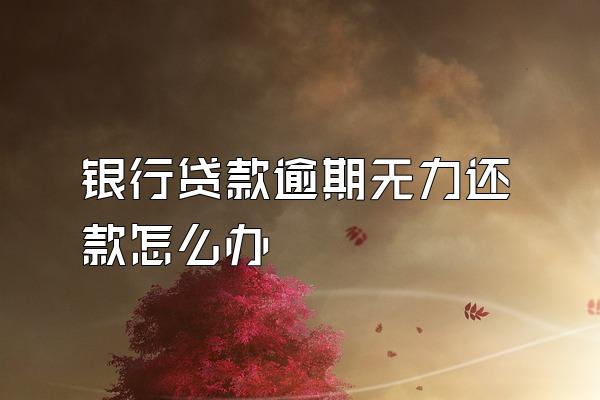 银行贷款逾期无力还款怎么办