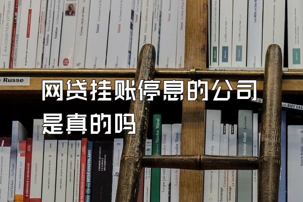 网贷挂账停息的公司是真的吗