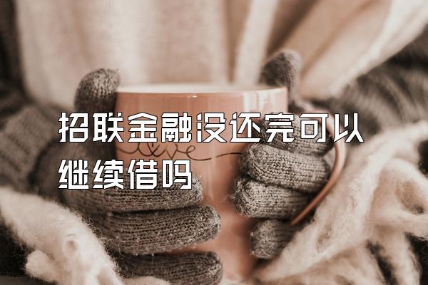 招联金融没还完可以继续借吗
