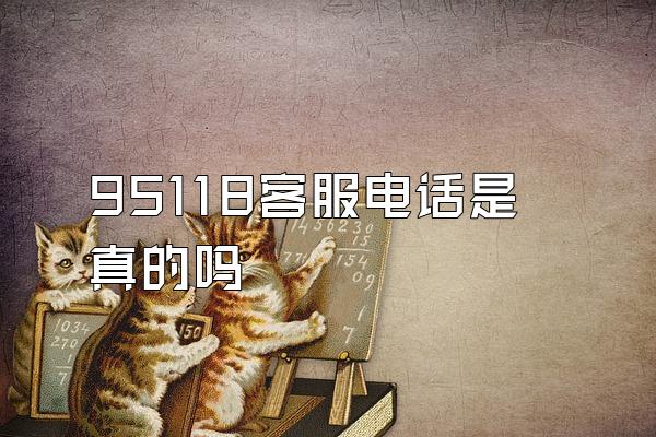 95118客服电话是真的吗