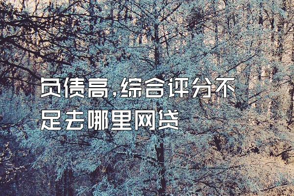 负债高,综合评分不足去哪里网贷
