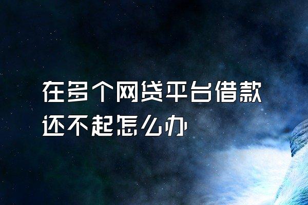在多个网贷平台借款还不起怎么办