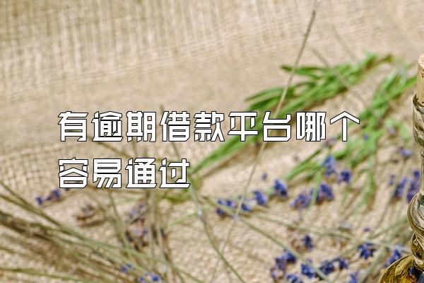 有逾期借款平台哪个容易通过