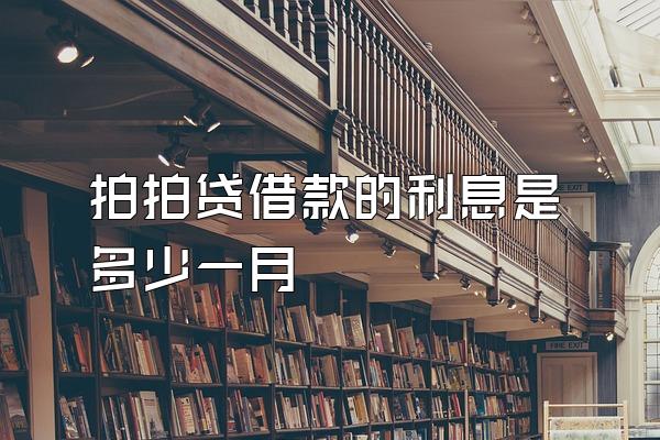 拍拍贷借款的利息是多少一月