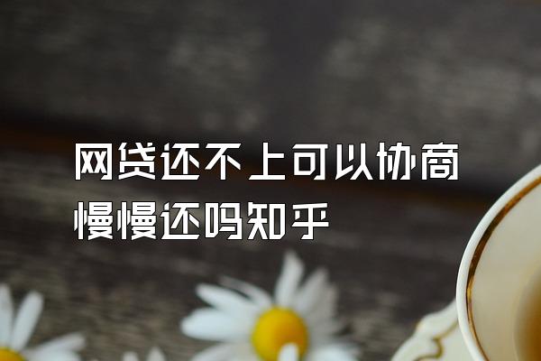 网贷还不上可以协商慢慢还吗知乎