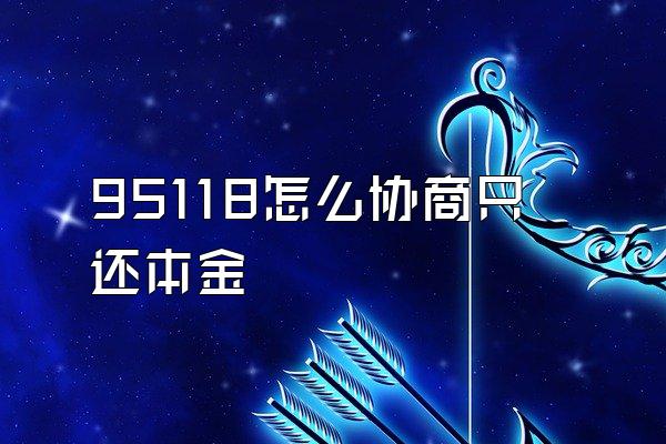 95118怎么协商只还本金
