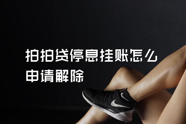 拍拍贷停息挂账怎么申请解除