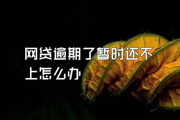 网贷逾期了暂时还不上怎么办