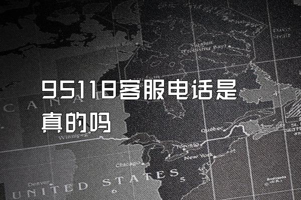 95118客服电话是真的吗