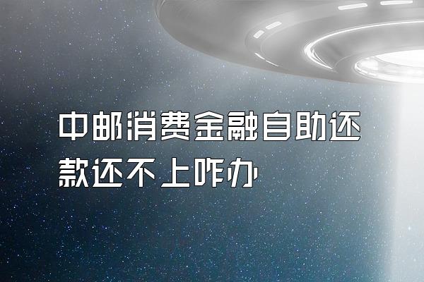 中邮消费金融自助还款还不上咋办