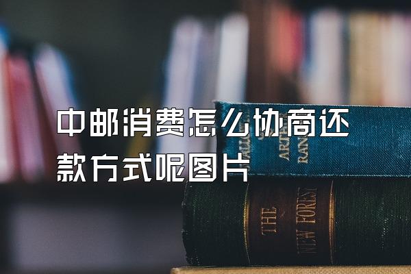 中邮消费怎么协商还款方式呢图片