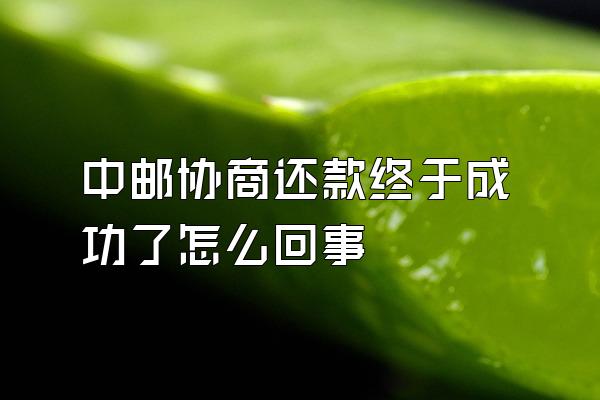 中邮协商还款终于成功了怎么回事
