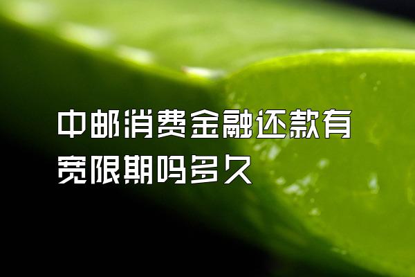 中邮消费金融还款有宽限期吗多久