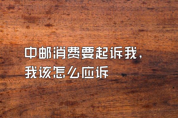 中邮消费要起诉我,我该怎么应诉