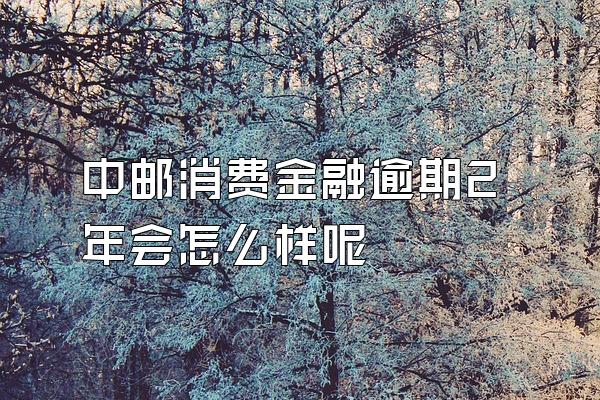 中邮消费金融逾期2年会怎么样呢