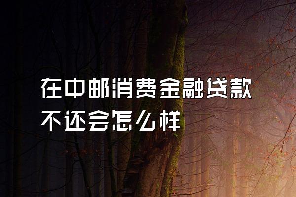 在中邮消费金融贷款不还会怎么样