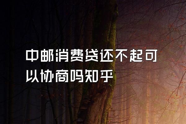 中邮消费贷还不起可以协商吗知乎