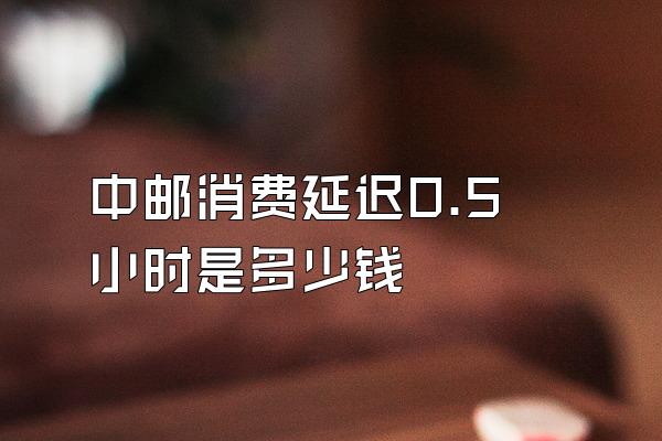中邮消费延迟0.5小时是多少钱