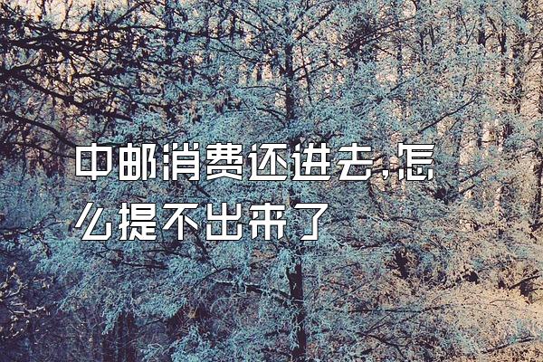 中邮消费还进去,怎么提不出来了