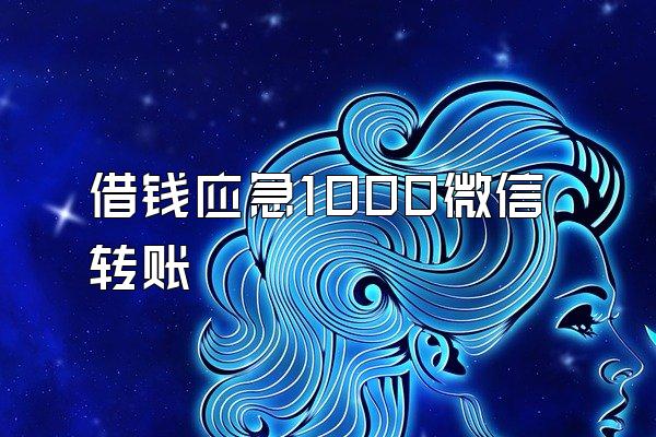 借钱应急1000微信转账