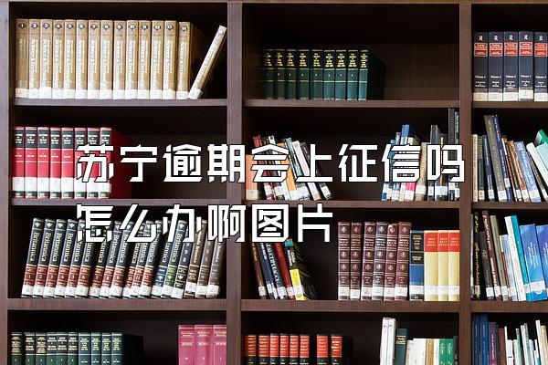 苏宁逾期会上征信吗怎么办啊图片