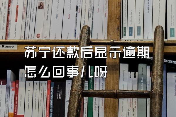 苏宁还款后显示逾期怎么回事儿呀