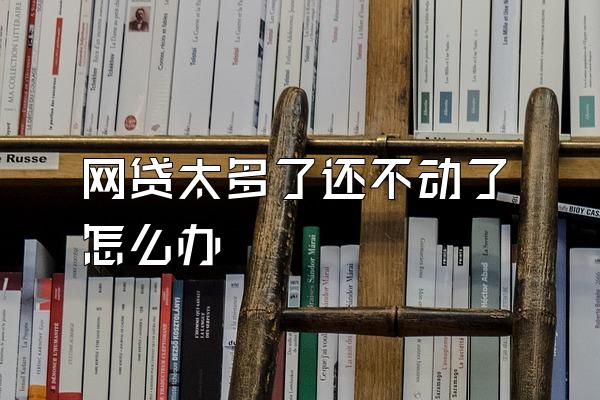 网贷太多了还不动了怎么办