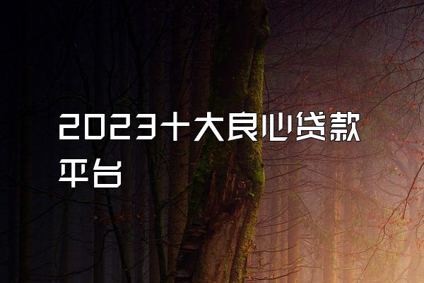 2023十大良心贷款平台