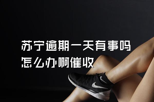 苏宁逾期一天有事吗怎么办啊催收