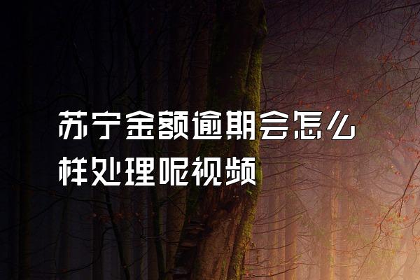 苏宁金额逾期会怎么样处理呢视频