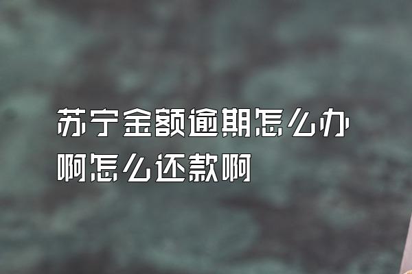 苏宁金额逾期怎么办啊怎么还款啊