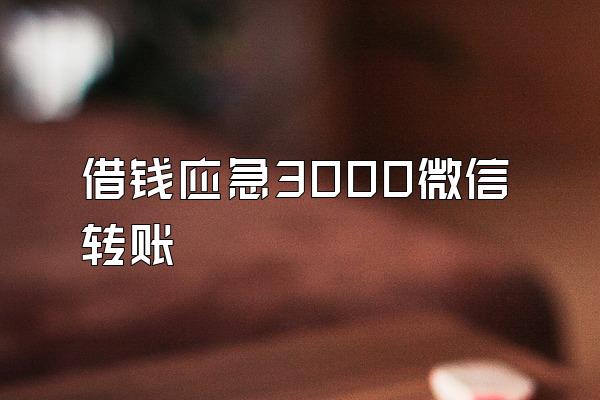 借钱应急3000微信转账