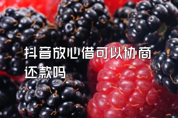 抖音放心借可以协商还款吗