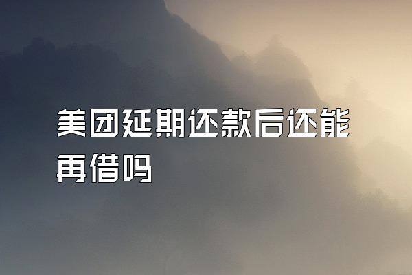 美团延期还款后还能再借吗