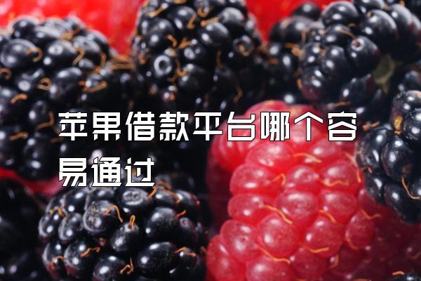 苹果借款平台哪个容易通过