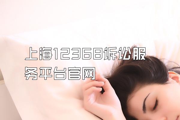 上海12368诉讼服务平台官网