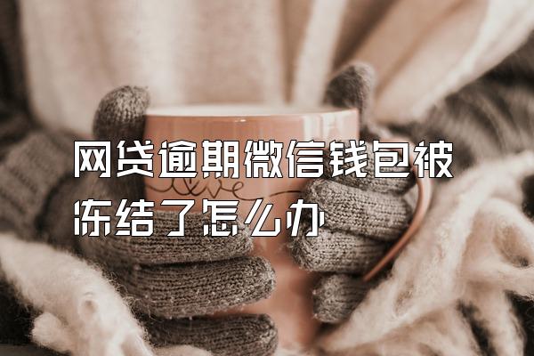网贷逾期微信钱包被冻结了怎么办