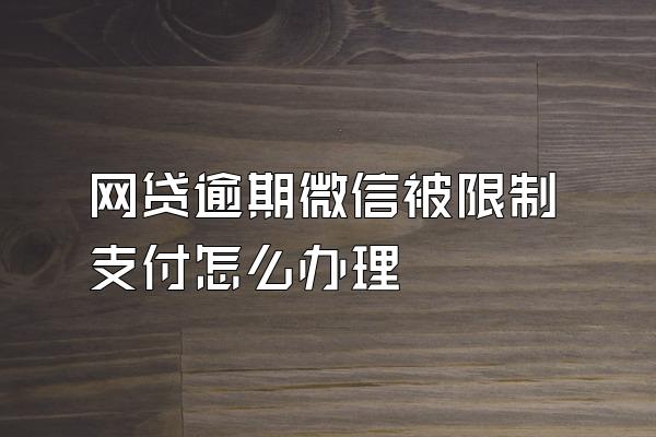 网贷逾期微信被限制支付怎么办理