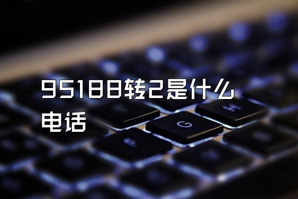 95188转2是什么电话