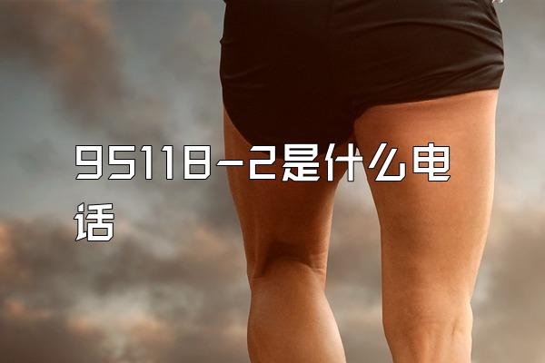 95118-2是什么电话