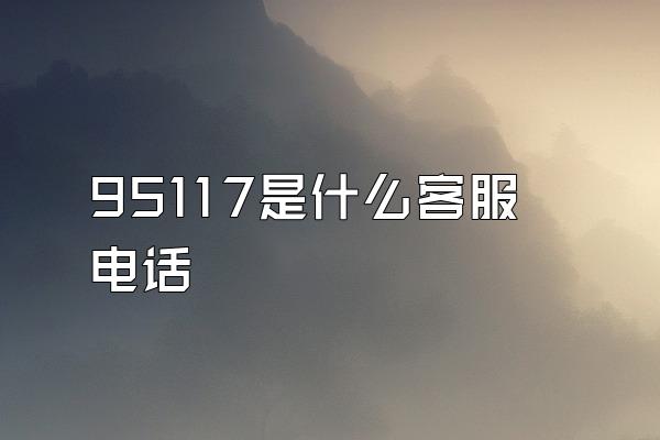 95117是什么客服电话