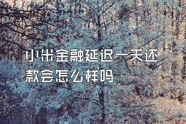 小米金融延迟一天还款会怎么样吗