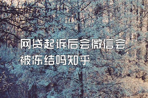 网贷起诉后会微信会被冻结吗知乎