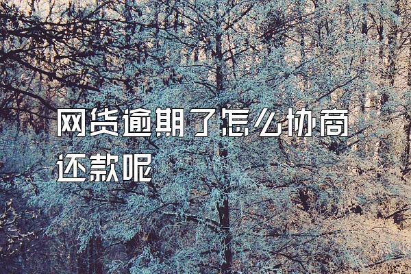 网货逾期了怎么协商还款呢