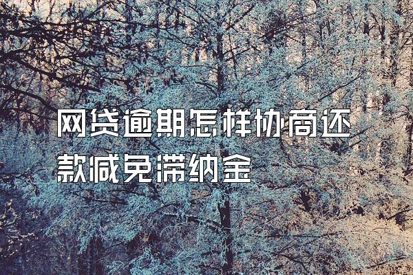 网贷逾期怎样协商还款减免滞纳金