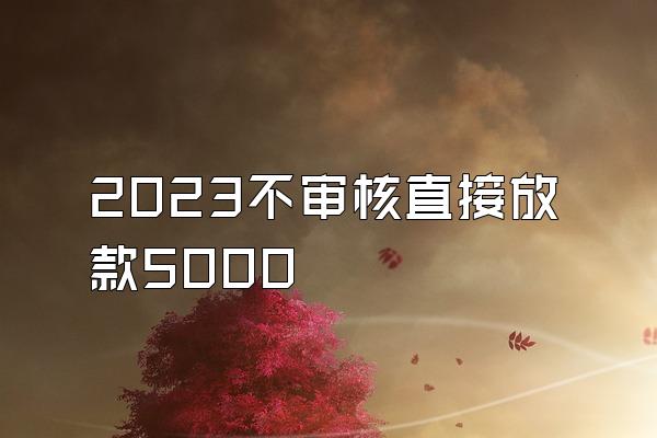 2023不审核直接放款5000