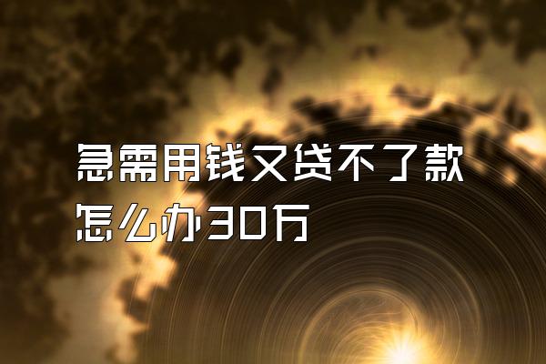 急需用钱又贷不了款怎么办30万
