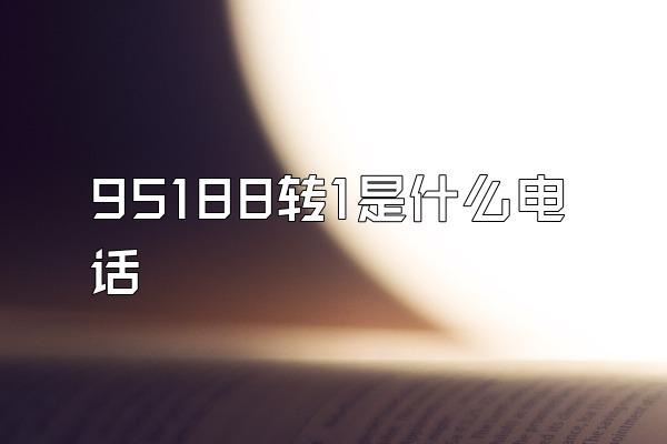 95188转1是什么电话
