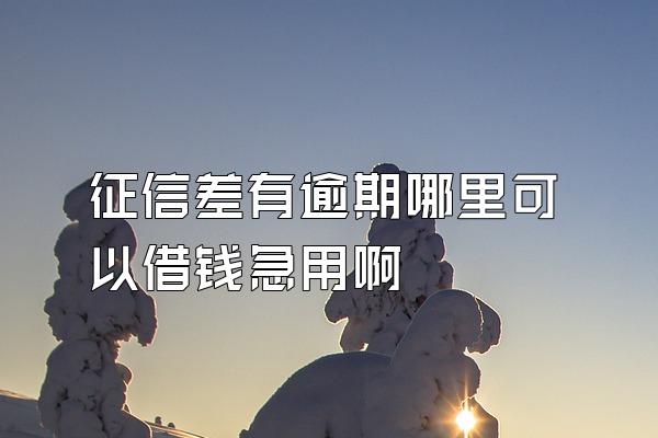 征信差有逾期哪里可以借钱急用啊